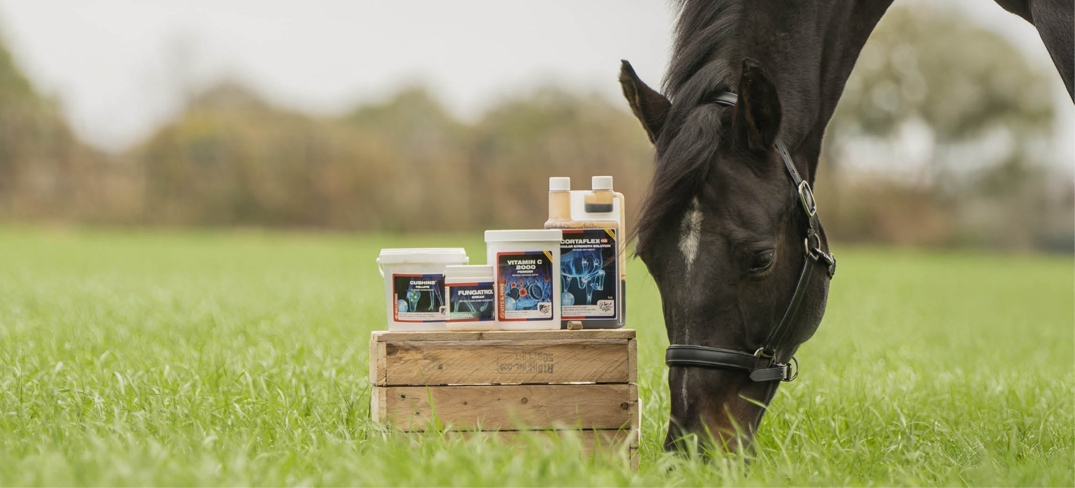 Bereit für die neue Saison? Die Frühlings- und Sommerprodukte von Equine America