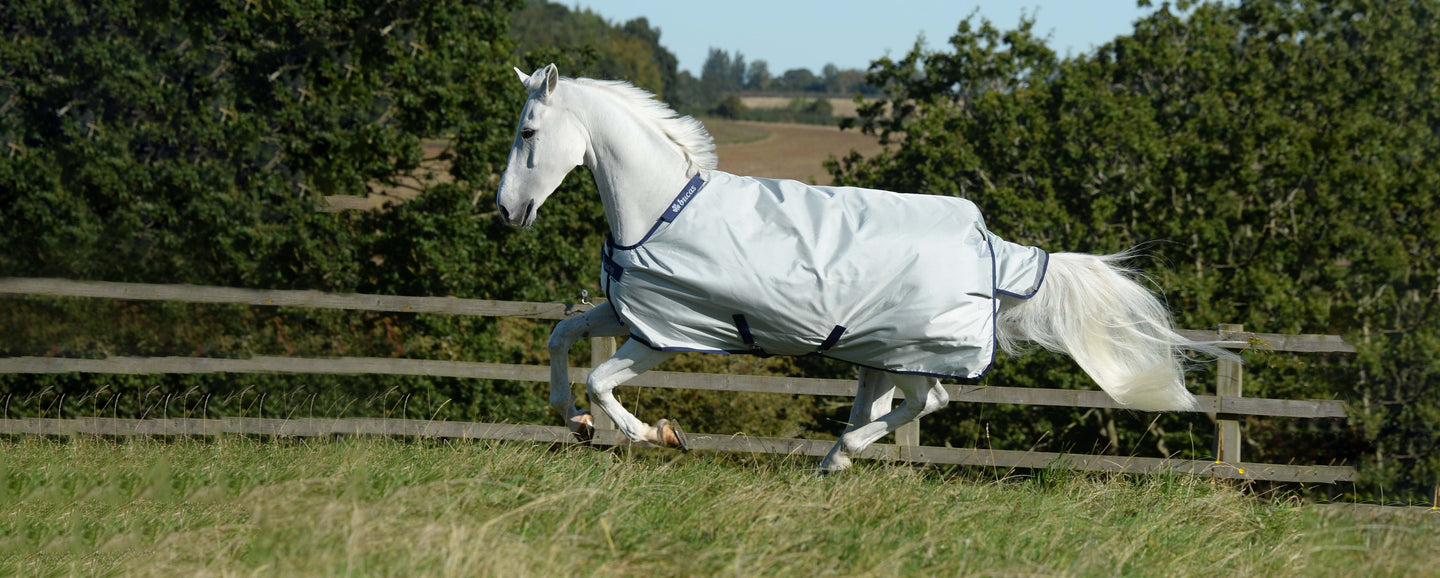 So schützen Sie Ihr Pferd optimal im Herbst!