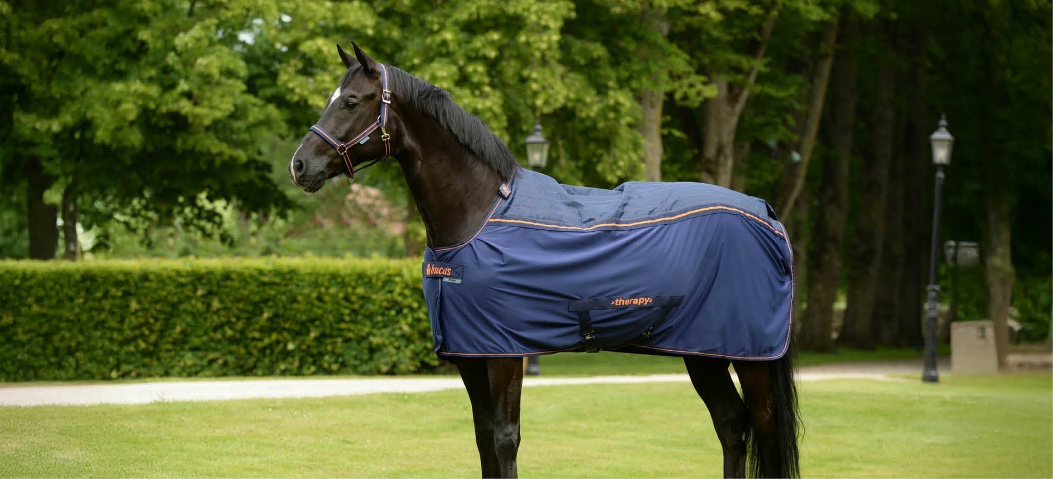 Must-have: Die Therapiedecke