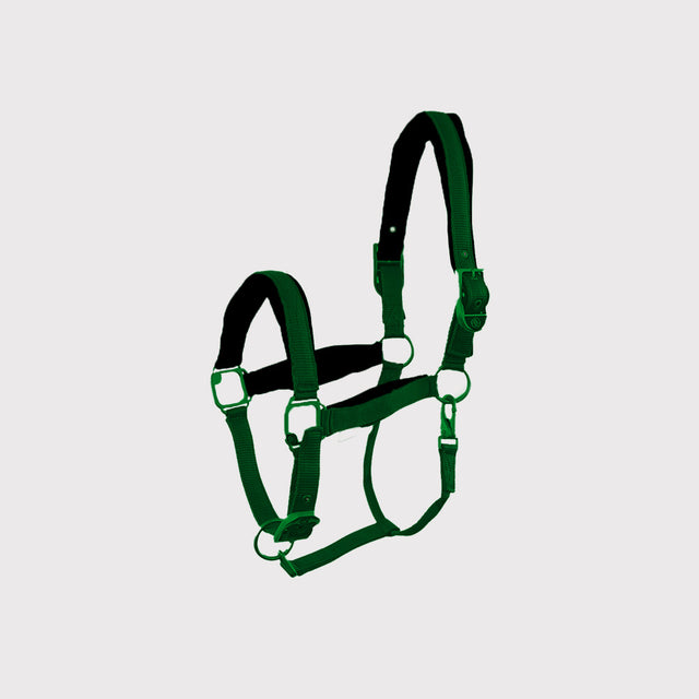 Halfter und Stricke Halfter und Stricke