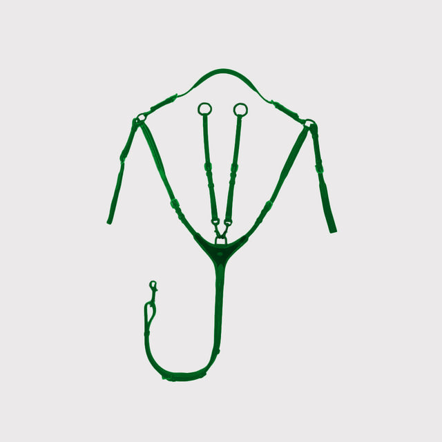 Zügel und Hilfzügel Zügel und Hilfzügel