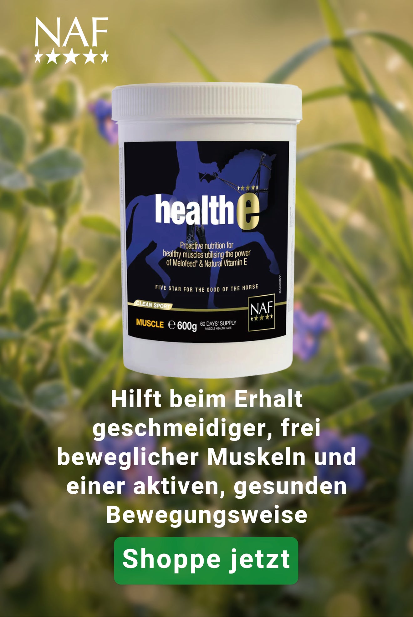 NAF Health E NAF Health E