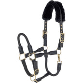 Covalliero Halfter Anniversary Graphite Covalliero Halfter Anniversary Graphite