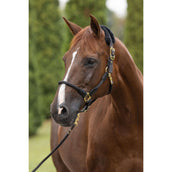 Covalliero Halfter Anniversary Graphite Covalliero Halfter Anniversary Graphite