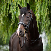 HB Kandarenzaum Special for You Schwarz HB Kandarenzaum Special for You Schwarz