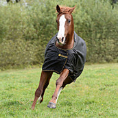 Bucas Irish Turnout Light 0g Schwarz/Gold Bucas Irish Turnout Light 0g Schwarz/Gold