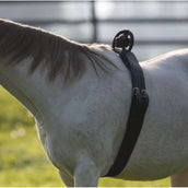 Birth Alarm Antirollgurt Komplett Birth Alarm Antirollgurt Komplett