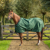 Agradi by Bucas Turnout Rug 0g Grün/Schwarz Agradi by Bucas Turnout Rug 0g Grün/Schwarz