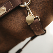 Kentucky Namensschild Gold Kentucky Namensschild Gold