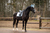Showtime Schabracke Spring Dressur Hellblau Showtime Schabracke Spring Dressur Hellblau
