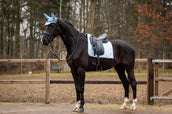 Showtime Schabracke Spring Dressur Hellblau Showtime Schabracke Spring Dressur Hellblau