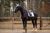 Showtime Schabracke Spring Dressur Lila Showtime Schabracke Spring Dressur Lila