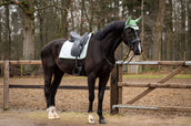 Showtime Schabracke Spring Dressur Minzgrün Showtime Schabracke Spring Dressur Minzgrün