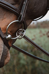 Dyon Zügel 1/2 7 Stops Ringverschluss Braun Dyon Zügel 1/2 7 Stops Ringverschluss Braun