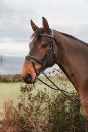 Dyon Zügel 1/2 7 Stops Ringverschluss Braun Dyon Zügel 1/2 7 Stops Ringverschluss Braun