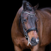 Imperial Riding Kandarenzaum IRHAthena Schwarz Imperial Riding Kandarenzaum IRHAthena Schwarz