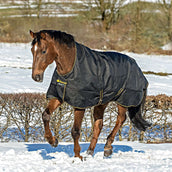 Bucas Irish Turnout Extra High Neck 300g Schwarz/Gold Bucas Irish Turnout Extra High Neck 300g Schwarz/Gold