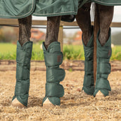 Agradi Horse Transportgamaschen 1200D Grün Agradi Horse Transportgamaschen 1200D Grün