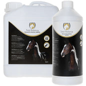 Excellent Equi Total Balance Excellent Equi Total Balance