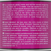 Carr & Day & Martin Mähnen- und Schweifpflegemittel Canter Carr & Day & Martin Mähnen- und Schweifpflegemittel Canter