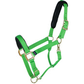 Shires Halfter Topaz Nylon Grün Shires Halfter Topaz Nylon Grün