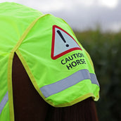 Equi-Flector by Shires Ausreitdecke Mesh Reflektierend Gelb Equi-Flector by Shires Ausreitdecke Mesh Reflektierend Gelb