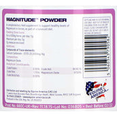 Equine America Magnitude Equine America Magnitude