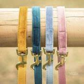 Kentucky Hundeleine Velvet Smaragdgrün Kentucky Hundeleine Velvet Smaragdgrün