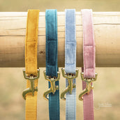 Kentucky Hundeleine Velvet Old Rose Kentucky Hundeleine Velvet Old Rose