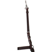 Passier Vorderzeug Ingrid Klimke Havanna/Gold Passier Vorderzeug Ingrid Klimke Havanna/Gold