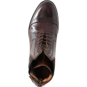 Mountain Horse Paddock Boots Aurora Back Zip Braun Mountain Horse Paddock Boots Aurora Back Zip Braun