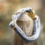 Kentucky Kragen Velvet Hellblau Kentucky Kragen Velvet Hellblau