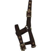 Norton Halfter Mini Verstellbar Braun Norton Halfter Mini Verstellbar Braun