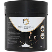 Excellent Electrolytes Pulver mit B2 Eimer Excellent Electrolytes Pulver mit B2 Eimer