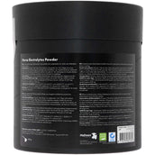 Excellent Electrolytes Pulver mit B2 Eimer Excellent Electrolytes Pulver mit B2 Eimer