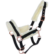 Norton Halfter Confort Schwarz Norton Halfter Confort Schwarz