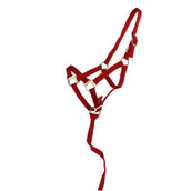 Norton Fohlenhalfter mit Leine Rot Norton Fohlenhalfter mit Leine Rot