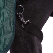 HB Showtime Showdecke Desire160gr Forest-Green HB Showtime Showdecke Desire160gr Forest-Green