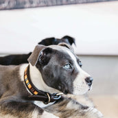 Kentucky Kragen Handgemachte Perlen Pure Orange Kentucky Kragen Handgemachte Perlen Pure Orange