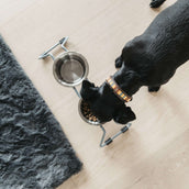 Kentucky Kragen Handgemachte Perlen Pure Orange Kentucky Kragen Handgemachte Perlen Pure Orange