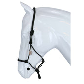 F.R.A. Reit- Ausbildungshalfte Babia Nylon Schwarz F.R.A. Reit- Ausbildungshalfte Babia Nylon Schwarz