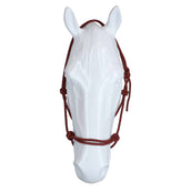 F.R.A. Reit- Ausbildungshalfte Babia Ruchi Collection Nylon Grün/Rot F.R.A. Reit- Ausbildungshalfte Babia Ruchi Collection Nylon Grün/Rot