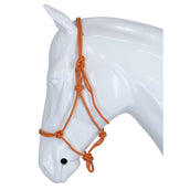 F.R.A. Reit- Ausbildungshalfte Babia Ruchi Collection Nylon Rot/Gelb F.R.A. Reit- Ausbildungshalfte Babia Ruchi Collection Nylon Rot/Gelb