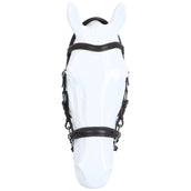 F.R.A. Hackamore Calli Stud Hook Lederen Zügel Havanna F.R.A. Hackamore Calli Stud Hook Lederen Zügel Havanna