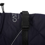 Catago Hundedecke Fir-Tech Trainer Night Sky Catago Hundedecke Fir-Tech Trainer Night Sky