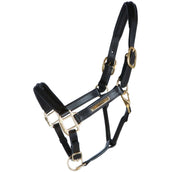 HB Showtime Halfter Horse Name Leder Braun HB Showtime Halfter Horse Name Leder Braun