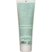 Ravene Kinesyl Ravene Kinesyl