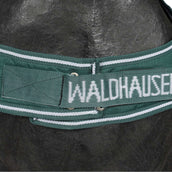 Waldhausen Führanlagendecke 100g Fir Green