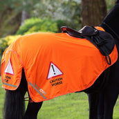 Equi-Flector by Shires Ausreitdecke Mesh Reflektierend Orange Equi-Flector by Shires Ausreitdecke Mesh Reflektierend Orange
