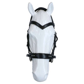 F.R.A. Bridon Glory Hackamore Cuir avec Perles Schwarz F.R.A. Bridon Glory Hackamore Cuir avec Perles Schwarz